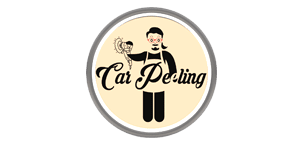 Carpeeling Detailing Studio's
